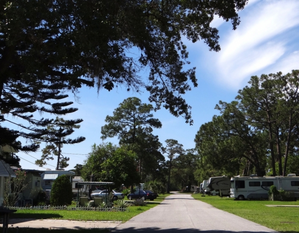Trees line RV sites at Encore Rose Bay RV Resort. This is a great choice when you're looking for Daytona Beach RV Parks.