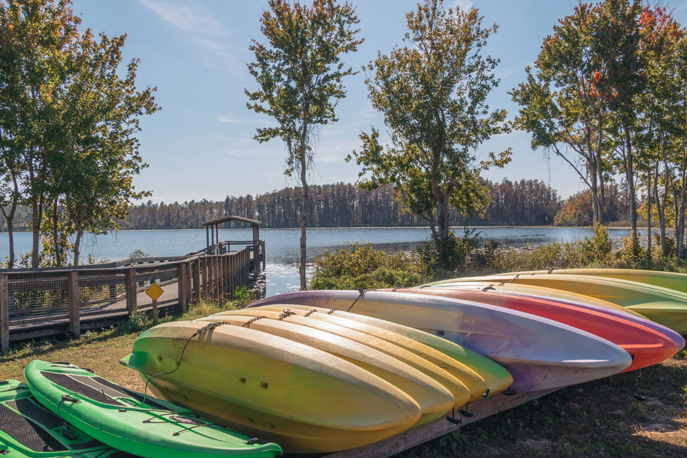Kayaks and a dock on Lake Louisa in Clermont. This is one of our favorite outdoor activities in Orlando.